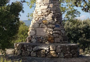 Trail Walking Sainte-Tulle - les Chabrands, le clapier et le Cain. - Photo