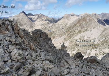 Trail Walking Saint-Martin-Vésubie - Cime de Rogue et lacs Fremamorte - Photo