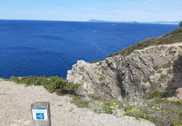 Tour Wandern Hyères - Presqu'île Giens ouest (partie extrême) - Photo