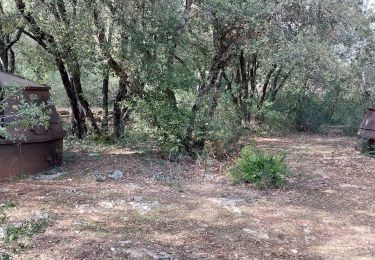 Randonnée Marche Baudinard-sur-Verdon - baudinard sur Verdon  - Photo