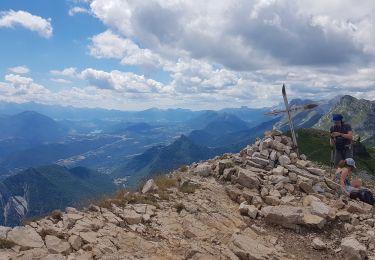 Tocht Stappen Lans-en-Vercors - Le Pic St Michel par Les Allières  et le Col de l Arc. - Photo