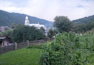 Excursión A pie  - Bicazu Ardelean – Șaua la Pălărie – Cabana Dochia (blue stripe) - Photo