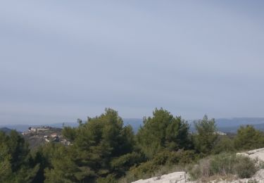 Tocht Noords wandelen Toulon - château vallon  - Photo