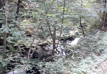 Tocht Stappen Besse-et-Saint-Anastaise - 06 09 19 - Photo