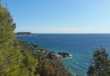 Tour Wandern Le Pradet - Monaco 1 - Photo