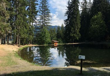 Tocht Stappen Praz-sur-Arly - Lac les evettes - Photo