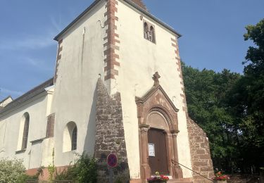 Trail Walking Barr - Domaine Saint Jacques , Obernai  - Photo