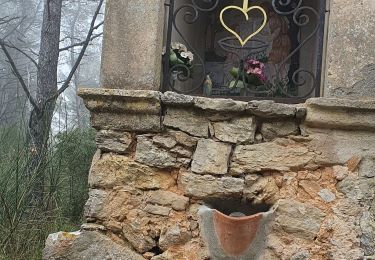 Tocht Stappen La Valette-du-Var - Le tour du cordon  - Photo