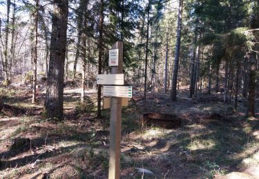 Trail Walking Moye - CLERGEON: VESTIGES CAMP 3 - MONTCLERGEON - Photo