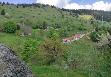 Randonnée Marche Wasserbourg - Boenlesgrab - Photo