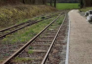 Tour Wandern Fains-Véel - verrerie fains vers massonge retour par vallée  - Photo