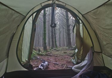 Randonnée A pied Stavelot - 17. Le Ru de Targnon - Photo