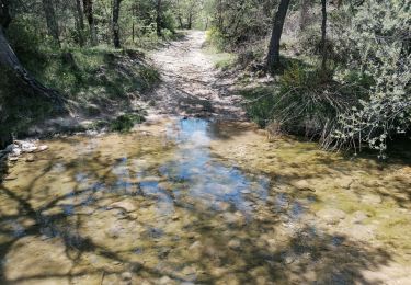 Trail Walking Montlaux - la blanche 2023 - Photo