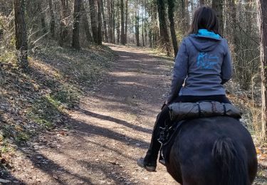 Trail Horseback riding Gresswiller - 2019-02-17 Balade Picnic Dinsheim - Photo