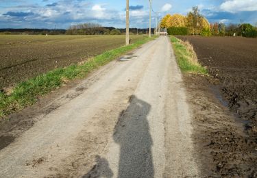 Randonnée Marche Morlanwelz - Morlanwelz - Bellecourt (10km) - Photo