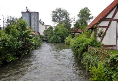 Excursión A pie Bempflingen - Eduard-Mörike-Weg - Photo