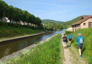 Tour Wandern Zabern - Saverne et ses châteaux  - Photo