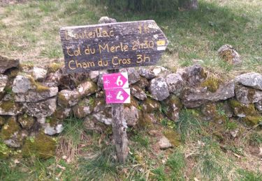 Trail Walking Rocles - 07 pissas bouteillac - Photo