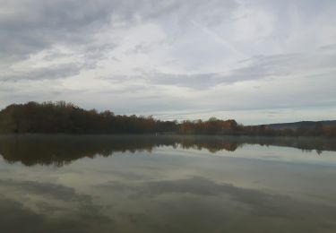 Trail Walking Sermamagny - 26 11 2019 Malcaucy  - Photo