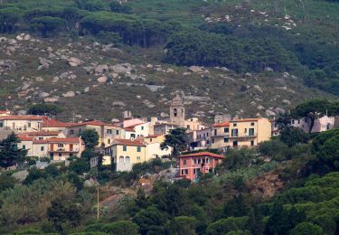 Tour Zu Fuß Campo nell'Elba - IT-138 - Photo