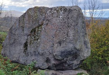 Tour Wandern Rochefort-Montagne - Rochefort_Montagne_Roche_branlante_T - Photo