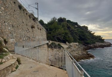 Randonnée Marche Roquebrune-Cap-Martin - Tour du Cap Martin et Château de Roquebrune 13.11.22 - Photo