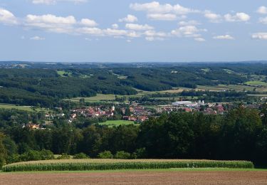 Trail On foot Grafendorf bei Hartberg - Wanderweg G3 - Photo