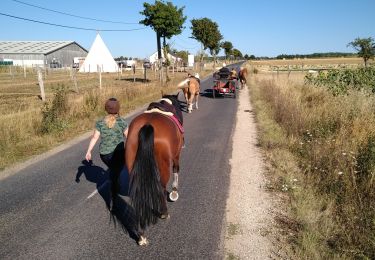 Percorso Carrozza Burthecourt-aux-Chênes - vermois3 - Photo