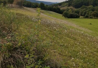 Tour Wandern Conques-en-Rouergue - mise en jambes  - Photo
