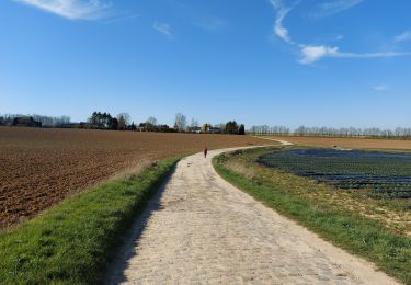 Percorso Marcia Fleurus - Baulet - Photo