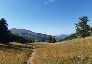 Tocht Stappen Vars - col de vars via l écuelle retour via refuge napoléon et font bonne - Photo