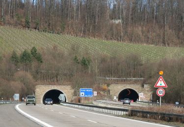 Trail On foot Eberstadt - WT8 Wengertschleife - Photo