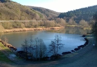 Tocht Te voet Bad Münstereifel - EifelSchleife Um den Langen Kopf - Photo