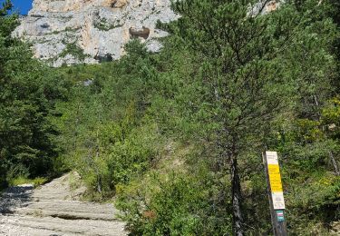 Trail Walking Châtillon-en-Diois - Archiane - Le Sentier des Vautours  - Photo