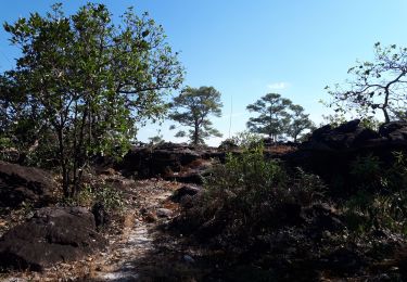 Randonnée Marche  - Le chemin des Bouddhas  - Photo