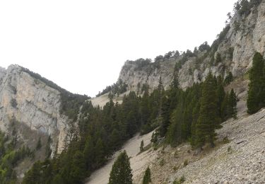 Percorso Marcia Romeyer - Col des Bachassons depuis Romeyer - Photo