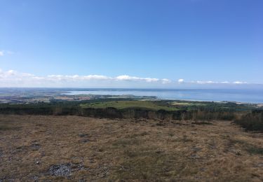 Tour Wandern Argol - Menez Hom depuis Sainte Marie - Photo