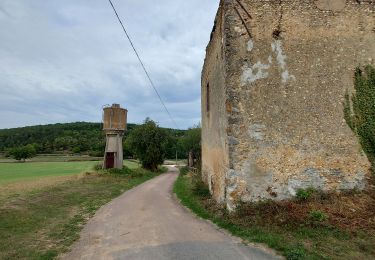 Randonnée Marche Rosoy - 220913 Rosoy 9,3 km - Photo