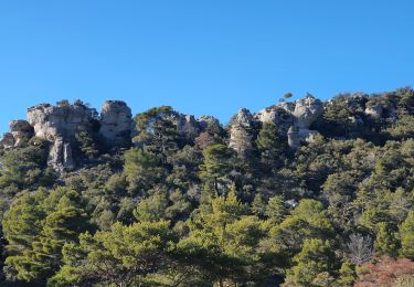 Tocht Stappen Aups - 2023-01-31 Col de la Bigue - Les Eyssariades - Photo