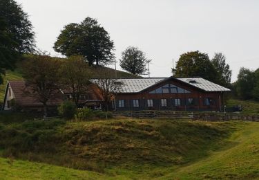 Trail Walking Kirchberg - Lachtelweiher - fermes auberges - Photo