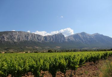 Tocht Te voet Durgali/Dorgali - (SI Z14) Sa Barva – Monte Maccione - Photo