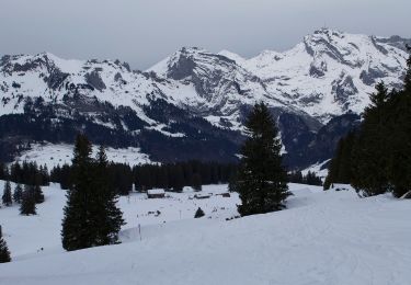 Excursión A pie Wildhaus-Alt St. Johann - Sagenweg - Photo