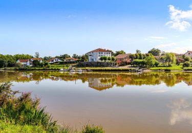 Tocht Stappen Port-de-Lanne - Chateau du Bec de Gave et bords de l'Adour - Photo