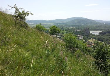 Tour Zu Fuß Bezirk Bratislava IV - Náučný chodník Bratislavské luhy - Photo