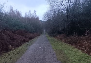 Trail Walking Liège - quyntifyon à boncelles  - Photo