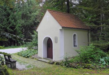 Trail On foot Neualbenreuth - Neualbenreuth: In einem Tag durch das Fraisch-Gebiet - Photo