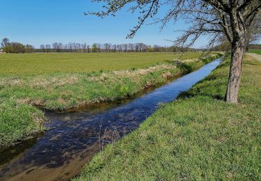 Tour Zu Fuß Kamenz - Grüner Balken Großteich - Photo