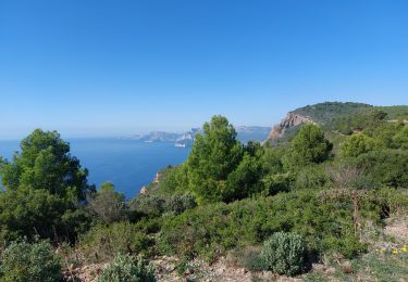 Trail Walking La Ciotat - st fretouse le semaphore belvédère la  route des crêtes  - Photo