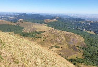 Tour Wandern Orcines - Montée au Puy de Dôme par le chemin des Muletiers - Photo