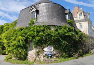 Tocht Hybride fiets Gennes-Val-de-Loire - R- étape 2 - périple de Gennes à Juigné sur Loire - Photo